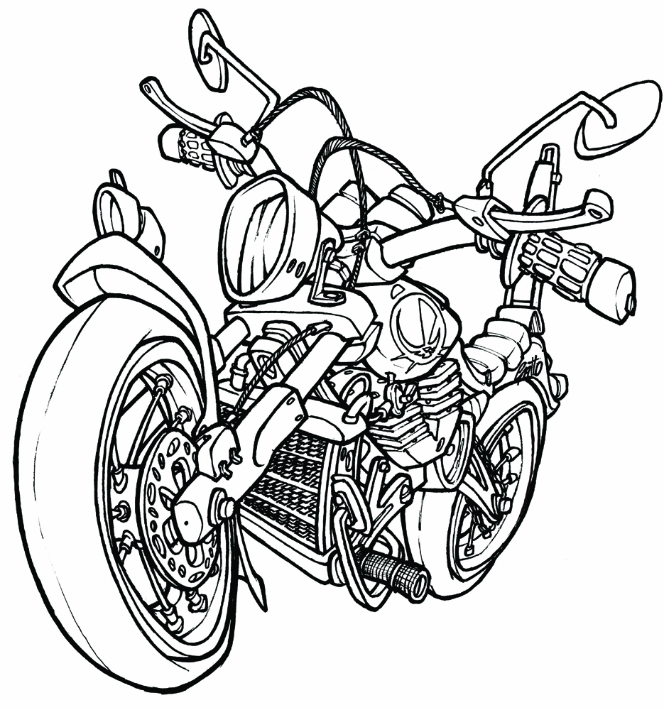MOTO BY GATTO